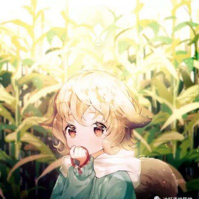 伊朗哈尔克岛遭袭